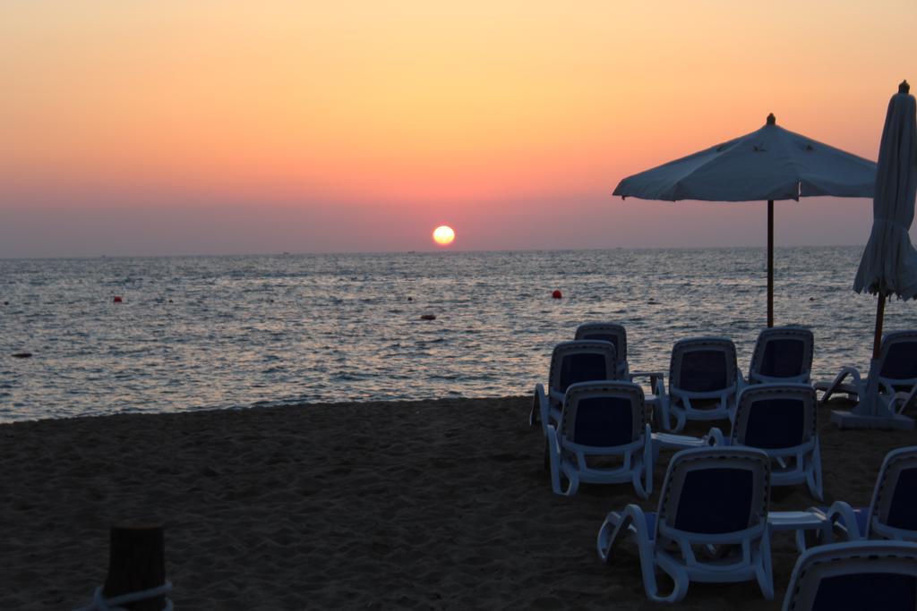 亚历山大托里普酒店 亚历山大港 外观 照片 The beach at the resort